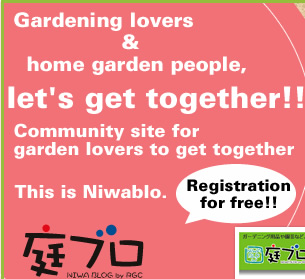 Gardening lovers and home garden people,let's get together.Community site for garden lovers to get together. This is Niwablo.