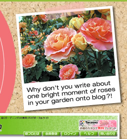 Why don't you write about one bright moment of roses in your garden onto blog