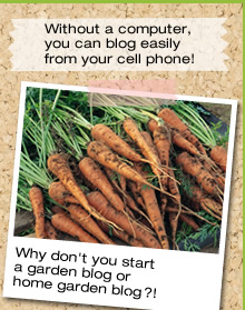 Why don't you start a garden blog or home garden blog