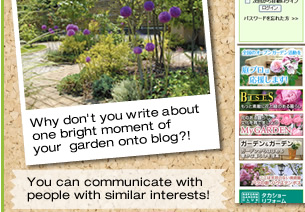 Why don't you write about one bright moment of your  garden onto blog
