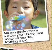 Not only garden things but also your children and whaterver you like, Anything is OK 