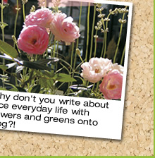 Why don't you write about nice everyday life with flowers and greens onto blog