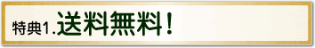 特典1.送料無料！