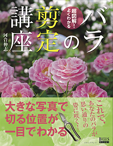 バラの剪定講座