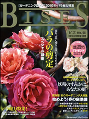 BISES（ビズ）