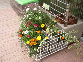 金網を活かした植栽ベース(浜名湖花博展示会場)