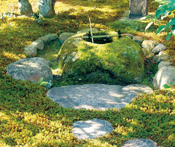 美しい苔の庭は、日本独自の伝統