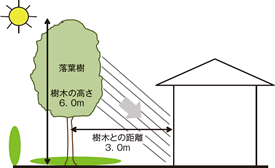 遷移を意識した植栽（兵庫県三田市　オープンガーデン）