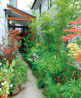 コンテナを使ったアプローチ植栽（兵庫県　三田市住宅）