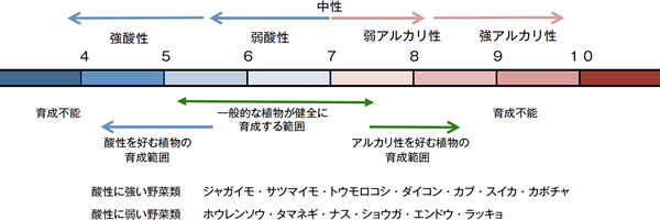 土壌の特性