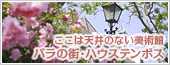 ここは天井のない美術館 バラの街・ハウステンボス