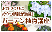 お庭づくりに役立つ情報が満載！「ガーデン植物講座」