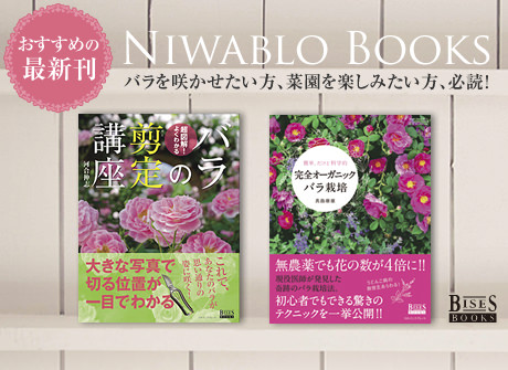 庭ブロおすすめの最新刊