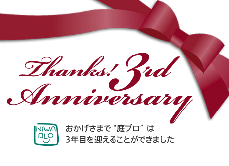 おかげさまで「庭ブロ」は3年目を迎えることができました